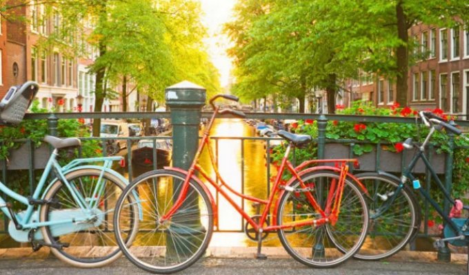 19 reasons to love the Netherlands (25 photos)