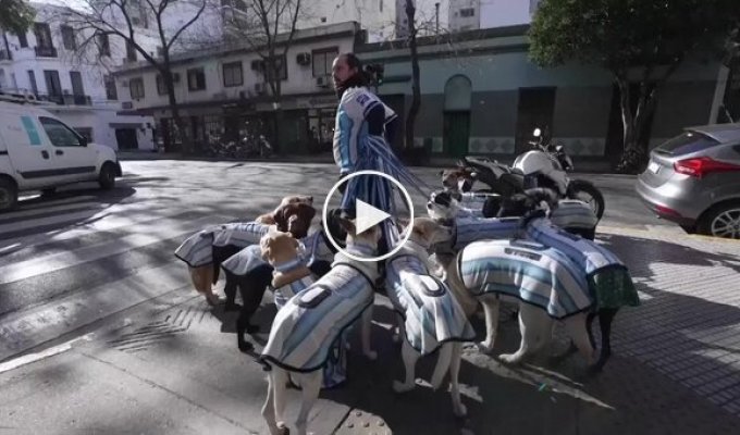 Четвероногие поклонники Месси