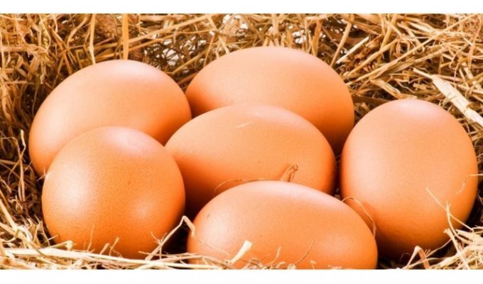 7 мифов о куриных яйцах (8 фото)