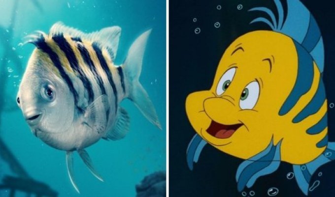 Flounder from the new "Mermaid" made people laugh and got into memes (14 photos)