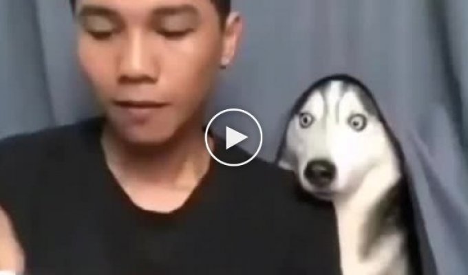 Забавная реакция собаки на фокус хозяина