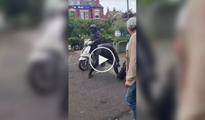 Grandmothers thwarted motorcycle theft