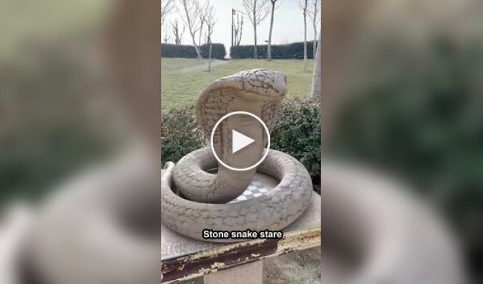 Too realistic snake sculpture