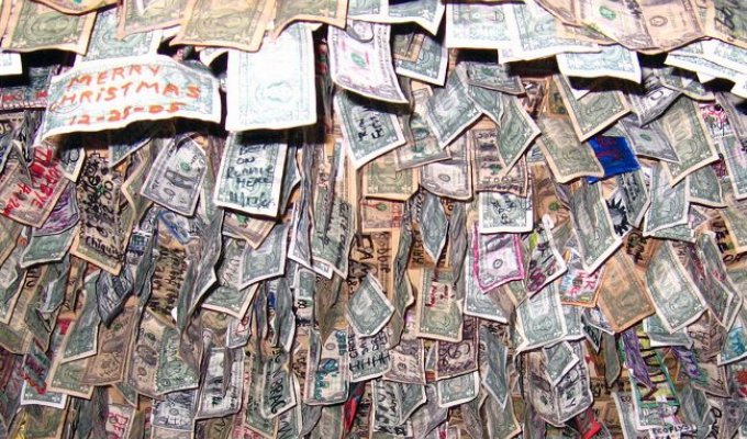 Money as wallpaper (7 photos)