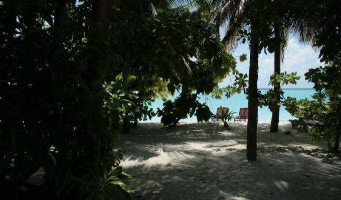 Мальдивы (34 фото)