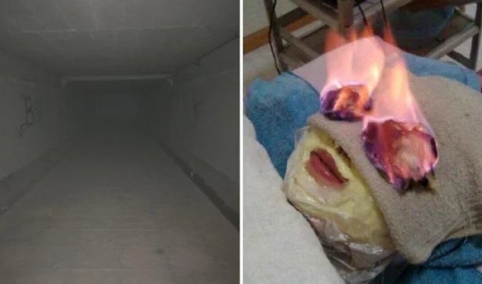 20 photos of ordinary things that will tickle your nerves (21 photos)