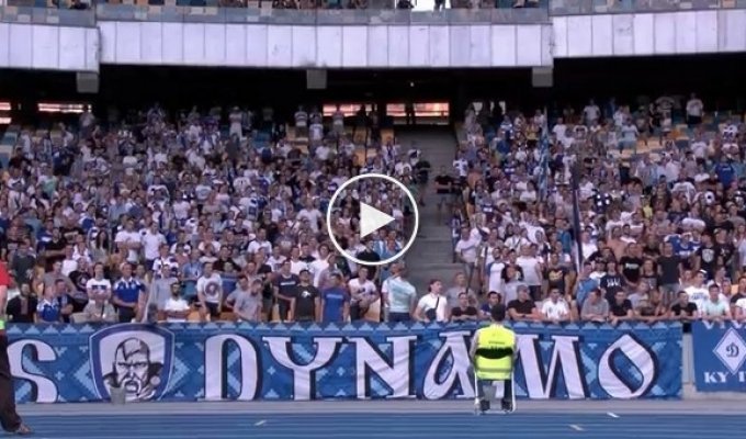 Фанаты футбольного клуба Динамо составили остроумный стих-кричалку о покушении на Плотницкого