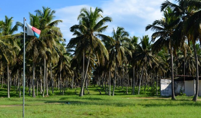 Фабрика по производству кокосового масла (14 фото)