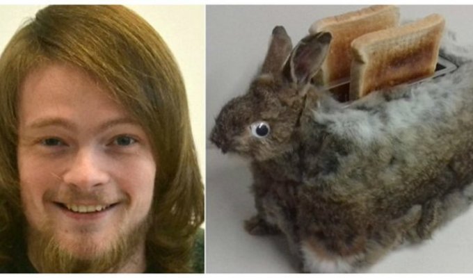 Студент-дизайнер к Пасхе сделал тостер из мертвого кролика (10 фото)