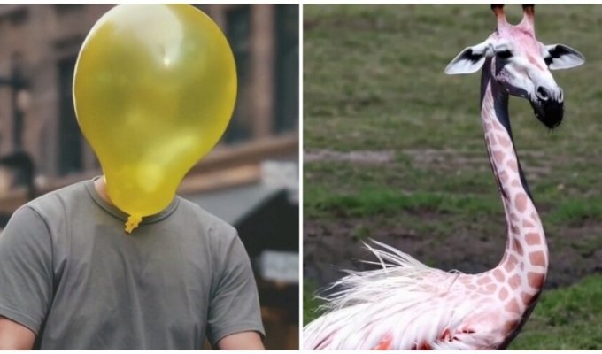 Balloon Man and Giraffe-flamingo: a neural network was taught to create short and clear videos on imaginary worlds (1 photo + 3 videos)