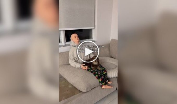 Собака боялась оставаться дома одна. На помощь пришел манекен в одежде хозяина