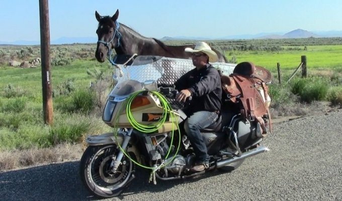 Фермер из Штата Айдахо приспособил мотоцикл для перевозки лошадей (1 фото + 2 видео)