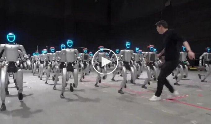 Современные роботы близки к уровню развития десятилетнего ребенка