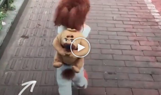 Вирусное видео с бегающей собакой на двух лапках, но не все так мило как кажется на первый взгляд