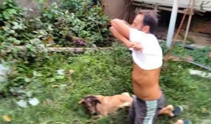 Мужчина не пожалел свою футболку, чтобы спасти собаку