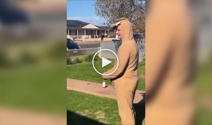 Instructions on how to catch a small kangaroo