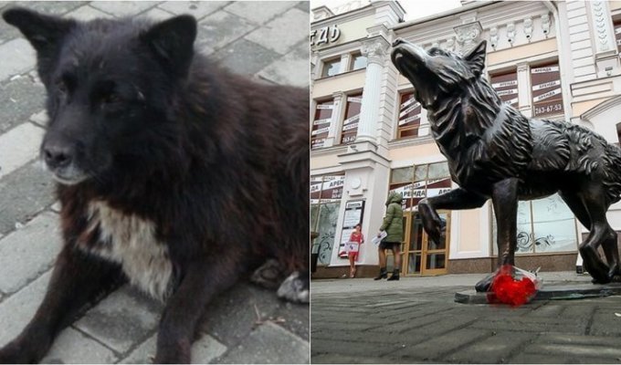 В Челябинске появился памятник псу, два года ожидавшему погибшего хозяина (6 фото + 1 видео)