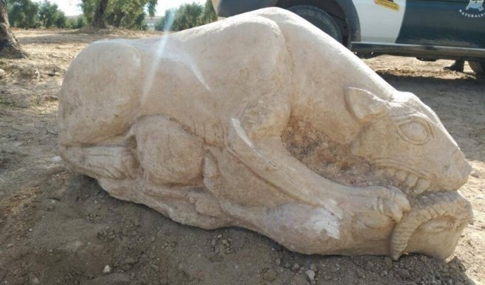 Фермер случайно нашел иберийскую скульптуру львицы (3 фото)