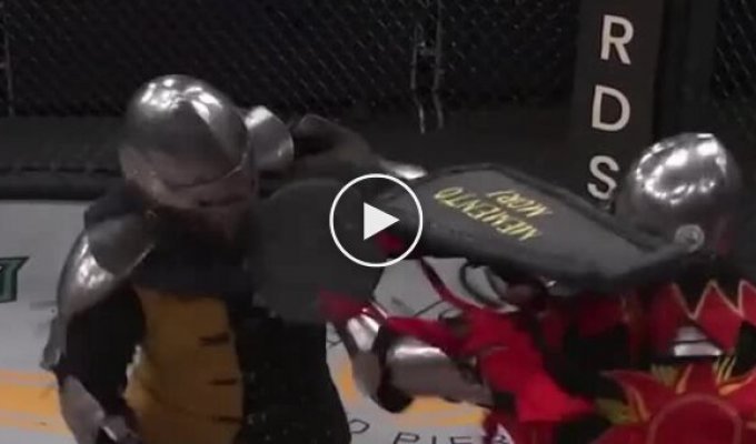 Рыцарские бои в октагоне