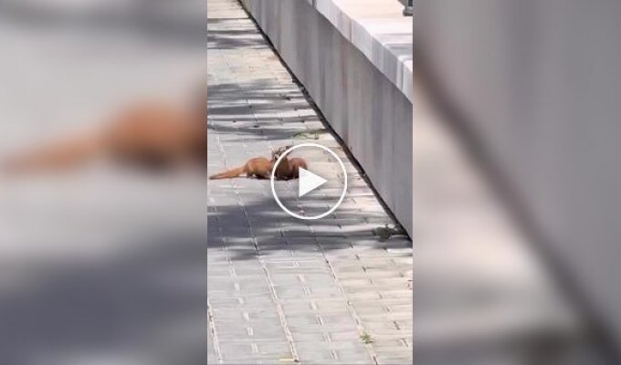 Помог другу как мог