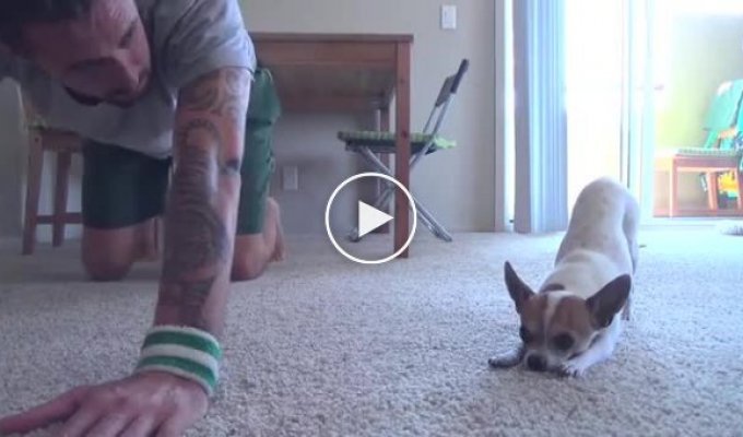Итальянский парень делает йогу с собакой
