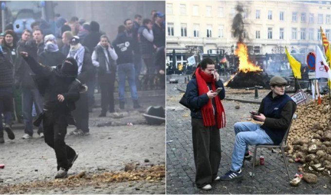 Брюссель утонул в навозе: фермеры 27 стран устроили "ароматный" протест (1 фото + 6 видео)