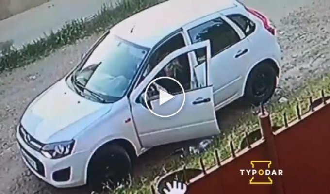 Свинтус на Калине в Краснодаре попала в объектив камеры видеонаблюдения во время излюбленного занятия