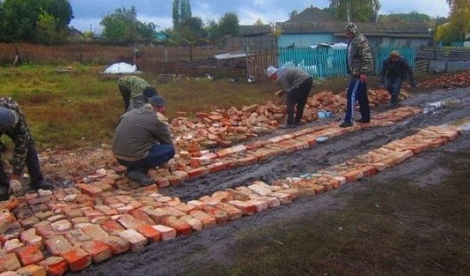 В Воронежской области сельскую дорогу вымостили кирпичом (фото)
