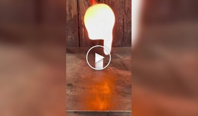 Красивое и удивительное (короткие видео). Выпуск 56