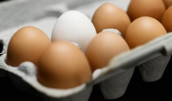 В чем разница между коричневыми и белыми куриными яйцами?