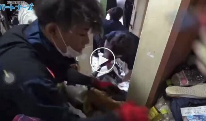 Уборщики нашли в заваленной мусором квартире старую картошку фри, которая выглядела свежей
