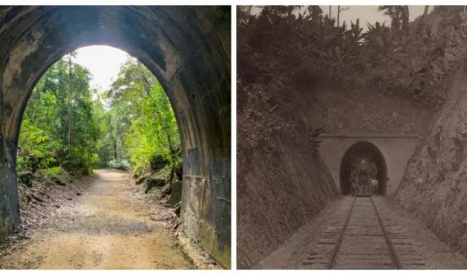 The Dularcha railway tunnel and its inhabitants (11 photos + 1 video)