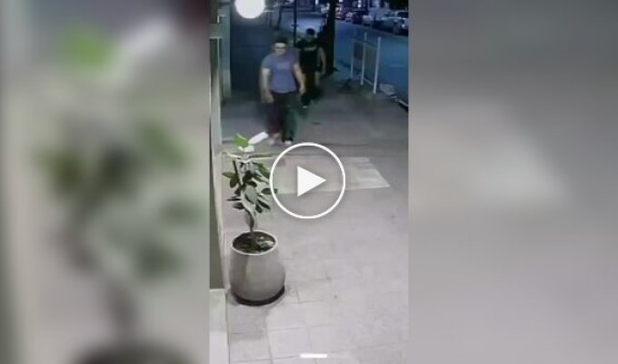П'яний хуліган пошкодив рослини, але наступного дня повернувся все виправити