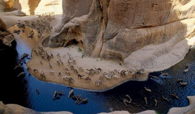 Гельта д’Аршей — самый известный постоянный источник воды в Чаде (9 фото)