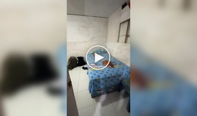 Самое бюджетное жилье в Индонезии: без окон и с туалетом на улице