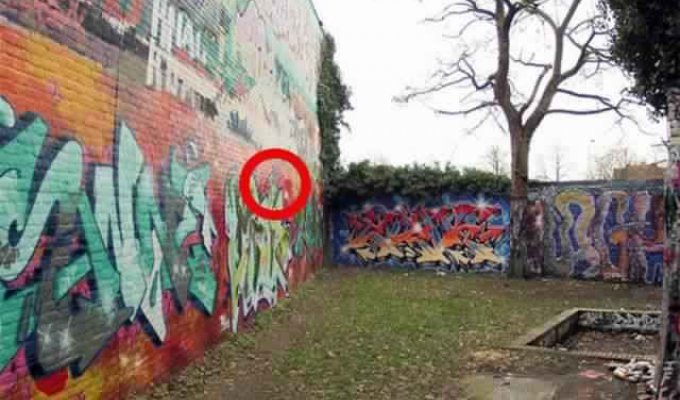 30-летний слой граффити на стене (3 фото)