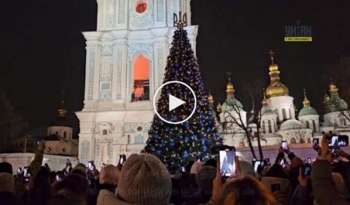 На Софийской площади засияла главная елка страны