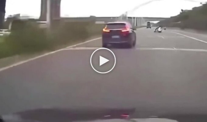 The car driver's reaction worked 100 percent