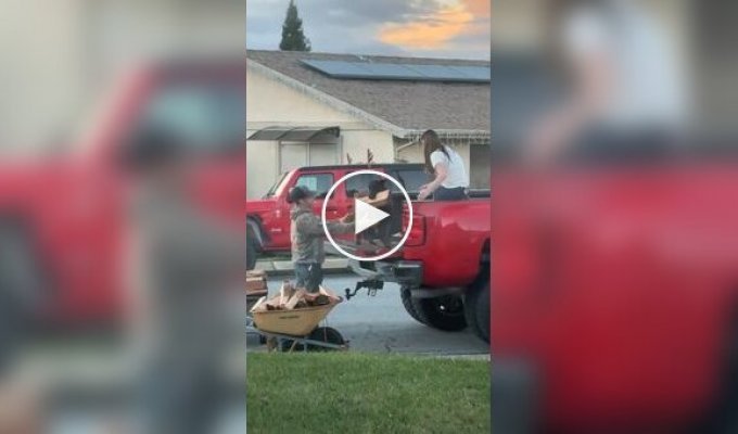 Четвероногий помощник