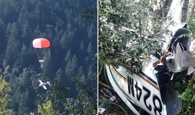 A parachute saved a family from death in a plane crash (4 photos)