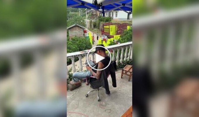 Когда попросил внука помочь со сбором апельсинов