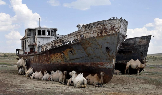 Аральское море восстаёт из мёртвых: почему стали чаще говорить о возвращении вод? (11 фото)