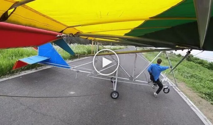 A short flight with an unfortunate ending