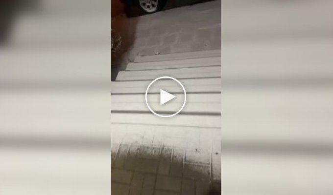 Порой польский язык понятен без перевода