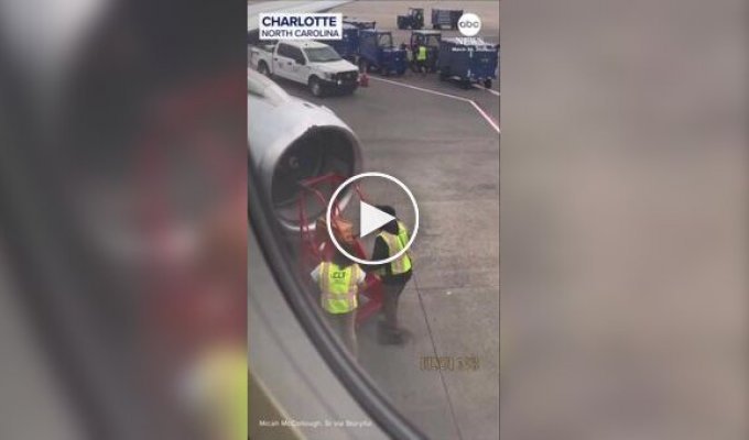 Cамолет не смог взлететь из-за пчел