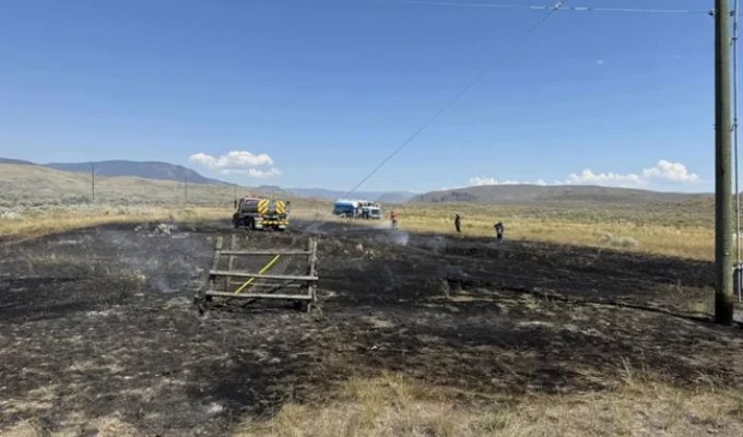 В Канаде рыба, упавшая с неба, обесточила село и вызвала пожар (4 фото)