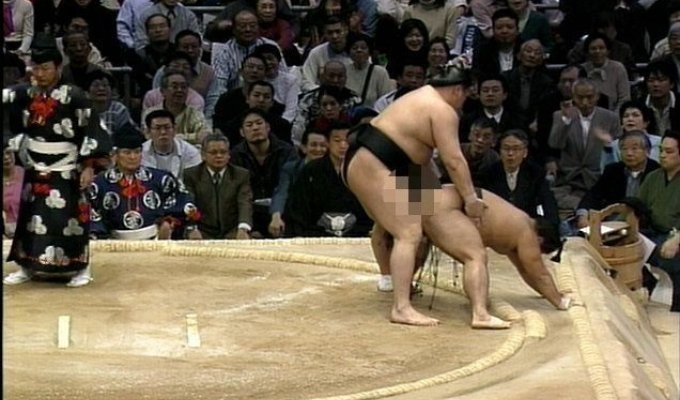 Пикантное сумо (12 фото)