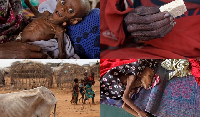 Голод в Восточной Африке (38 фото)