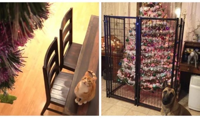 22 проверенных способа защитить новогоднее чудо и сохранить нервы (23 фото)