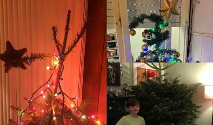 Отец с сыном придумали новогоднюю традицию - каждый год они ищут самую уродливую ёлку (14 фото)